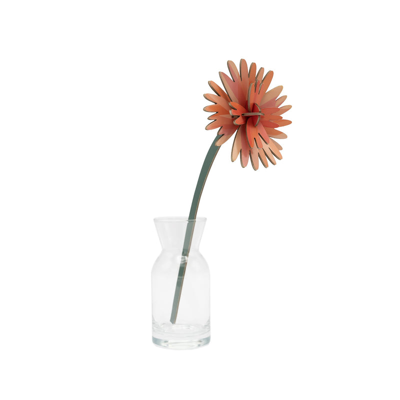 Lasting Bouquet
